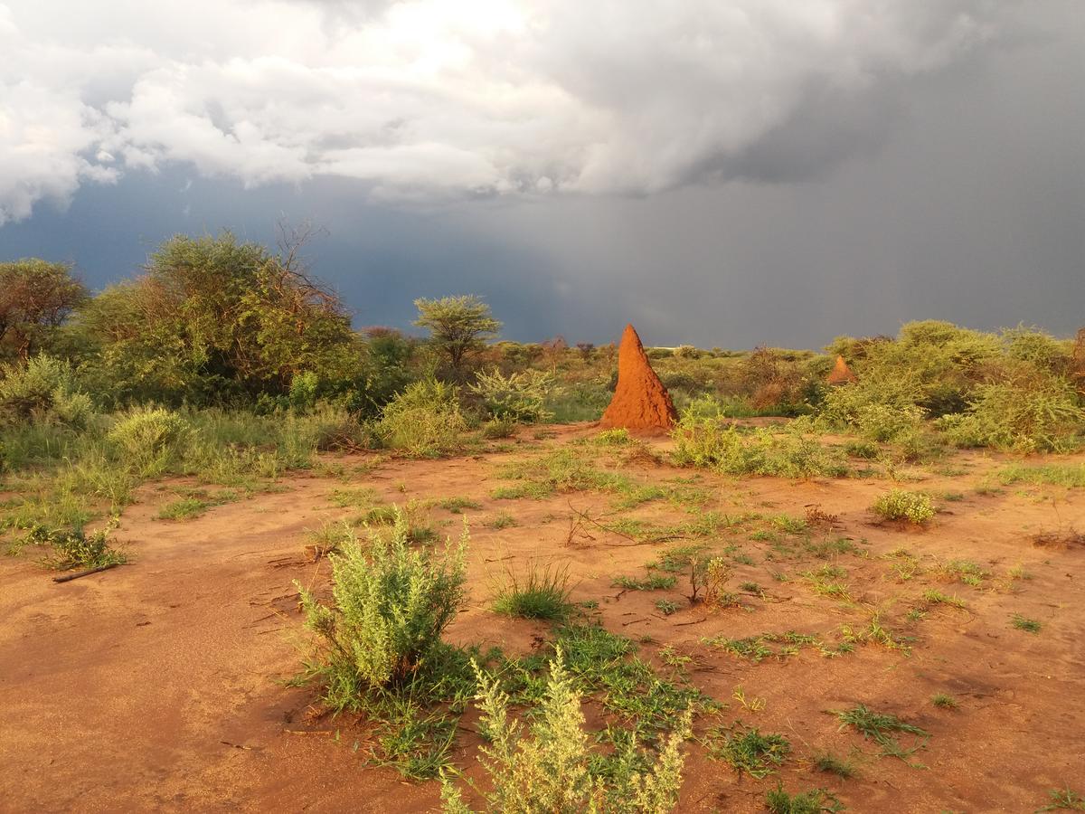 Lion'S Den Guesthouse Otjiwarongo Dış mekan fotoğraf