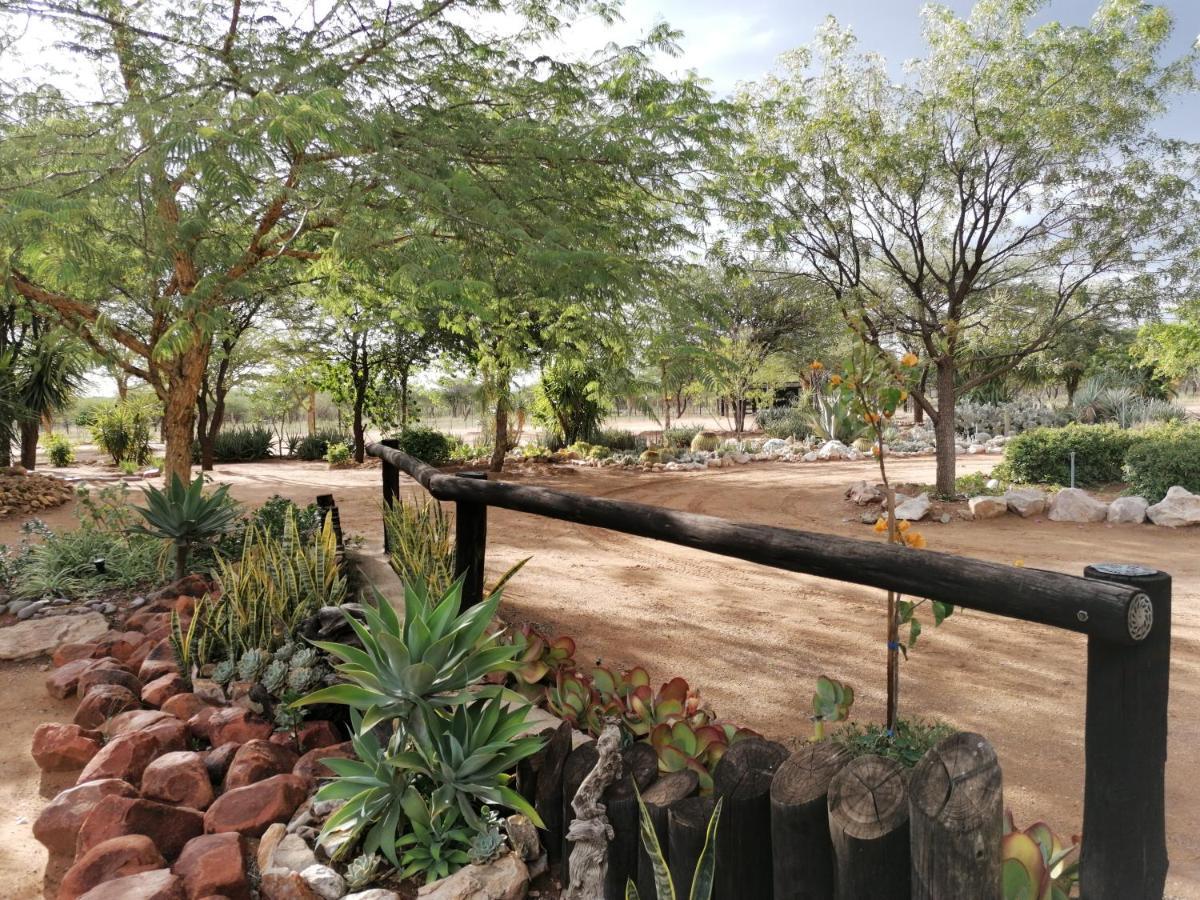 Lion'S Den Guesthouse Otjiwarongo Dış mekan fotoğraf