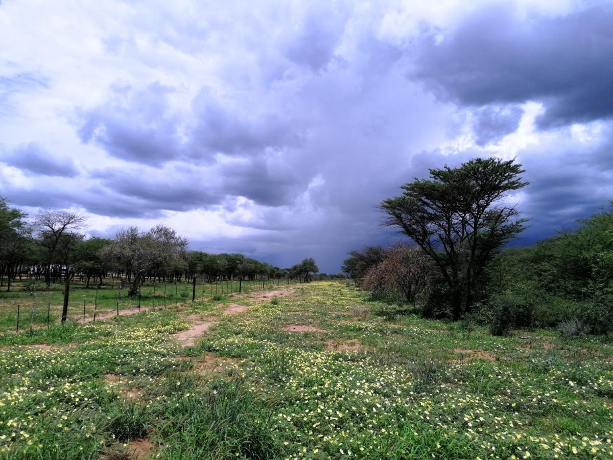 Lion'S Den Guesthouse Otjiwarongo Dış mekan fotoğraf