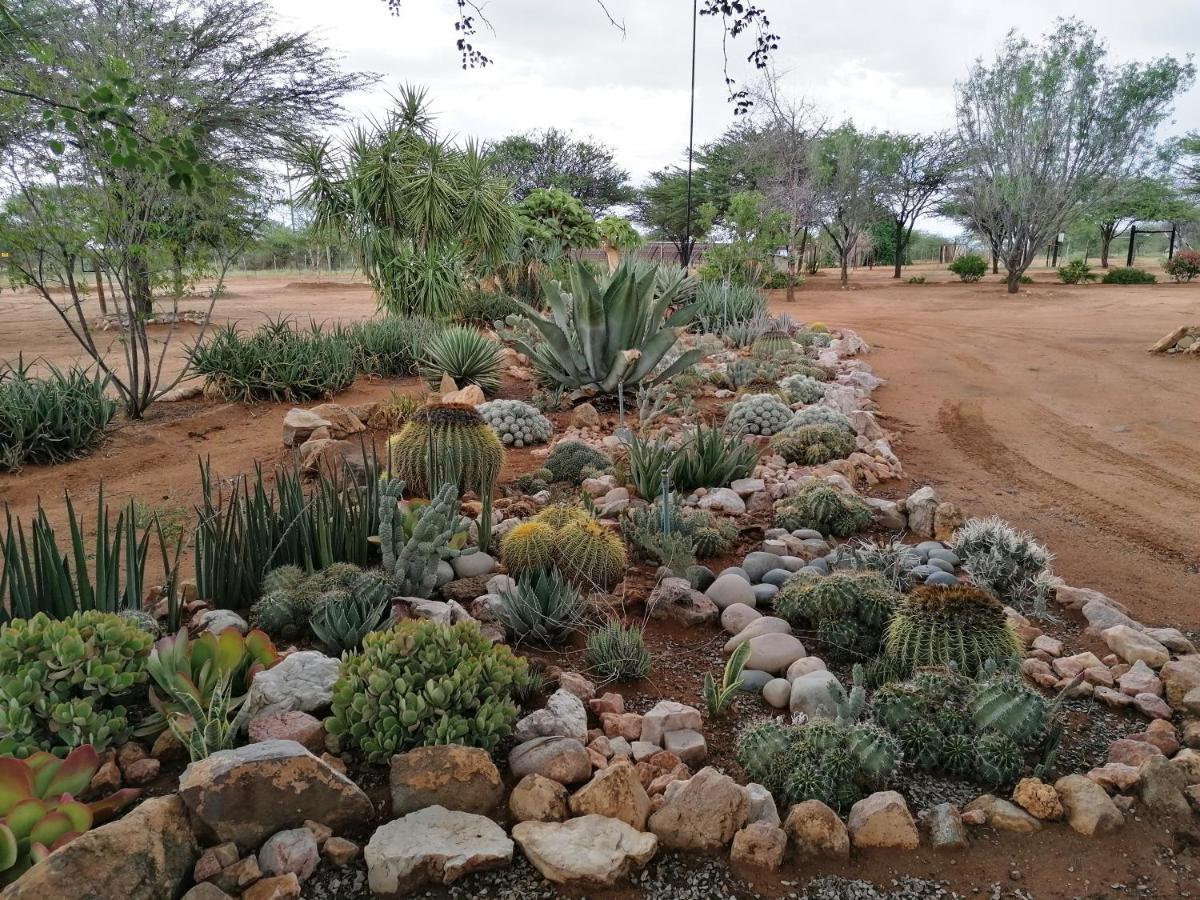Lion'S Den Guesthouse Otjiwarongo Dış mekan fotoğraf