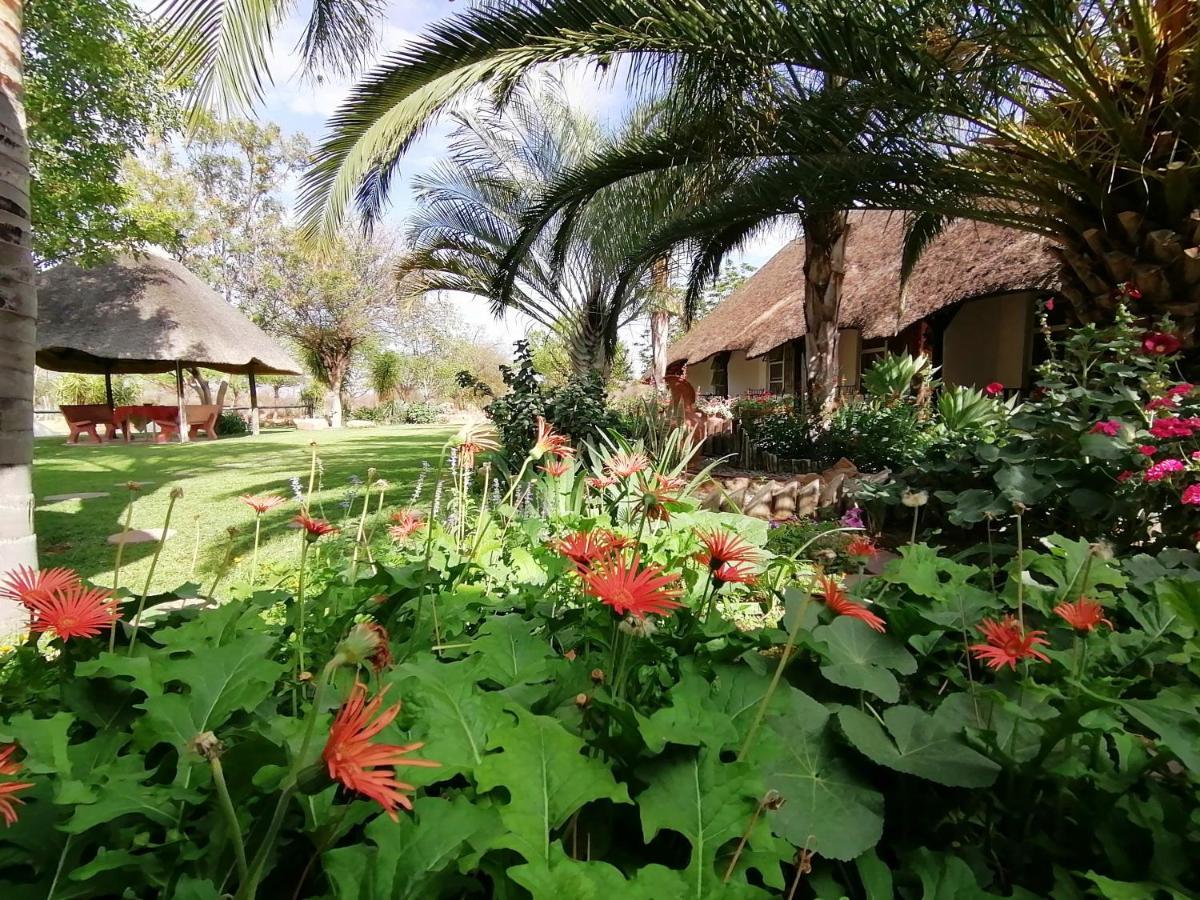 Lion'S Den Guesthouse Otjiwarongo Dış mekan fotoğraf