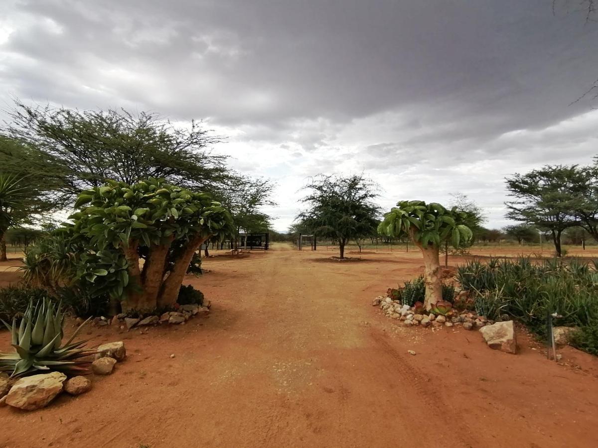 Lion'S Den Guesthouse Otjiwarongo Dış mekan fotoğraf