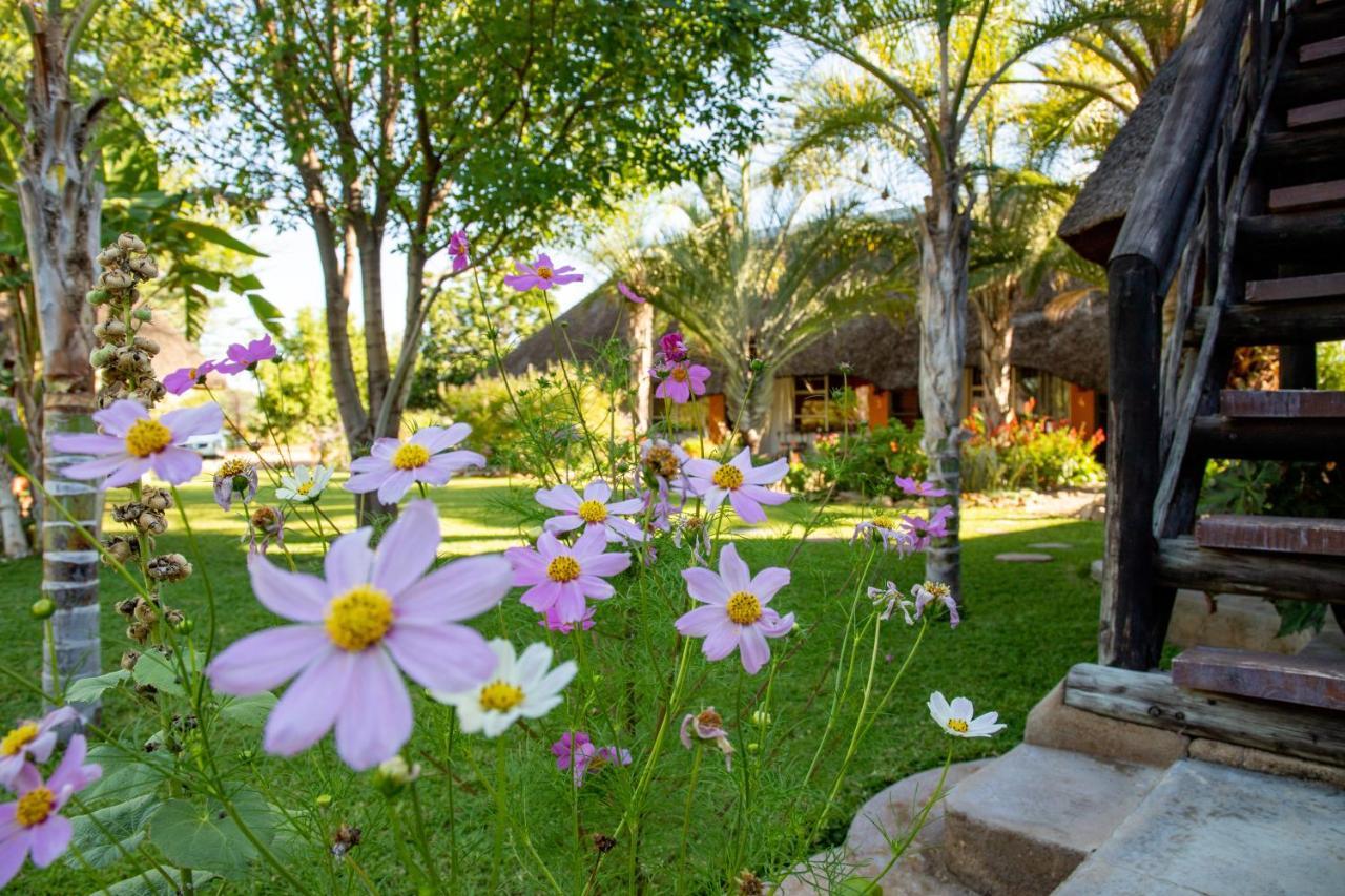 Lion'S Den Guesthouse Otjiwarongo Dış mekan fotoğraf