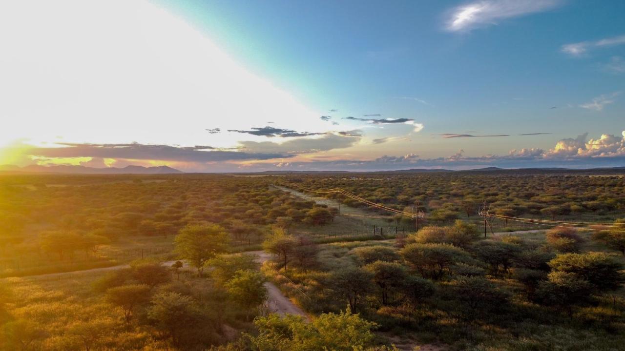 Lion'S Den Guesthouse Otjiwarongo Dış mekan fotoğraf